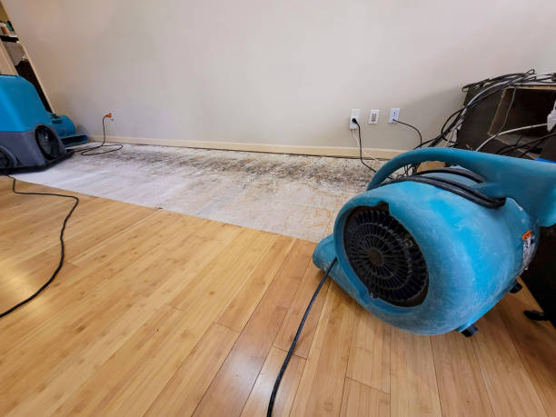 Professional Basement Flood Cleanup technician working in Jasper, TX